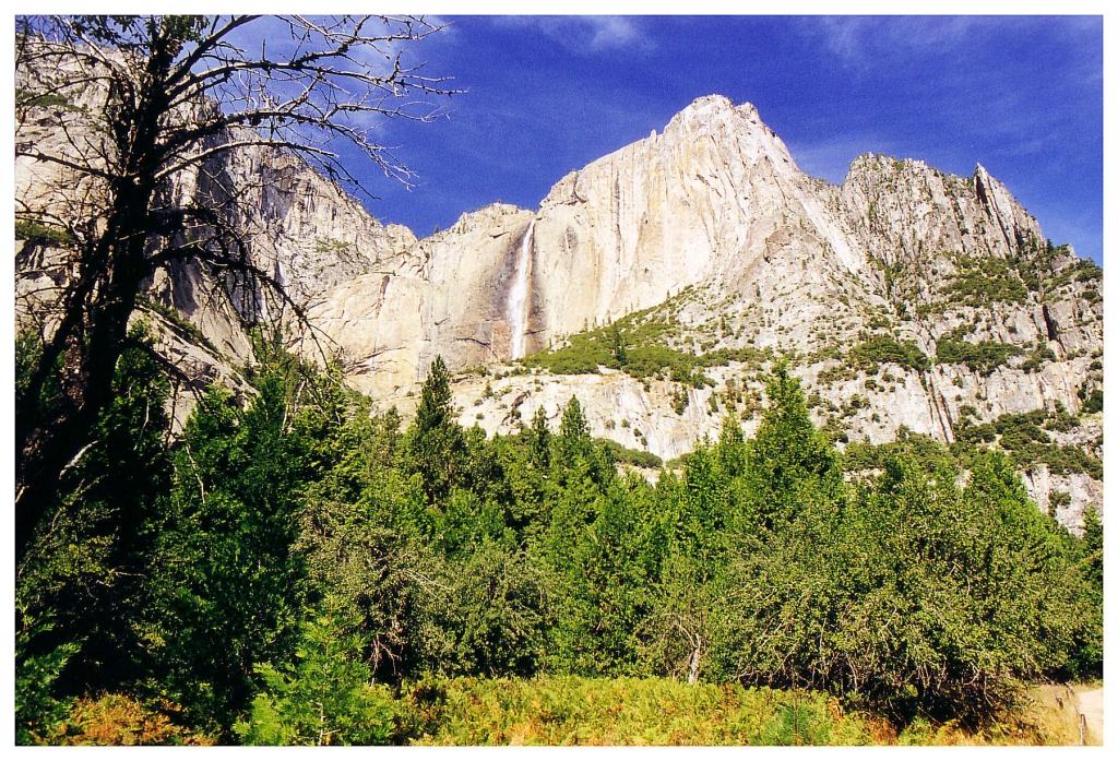 07 - Yosemite NP (3).jpg